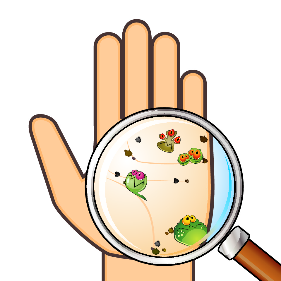 microbes on a hand